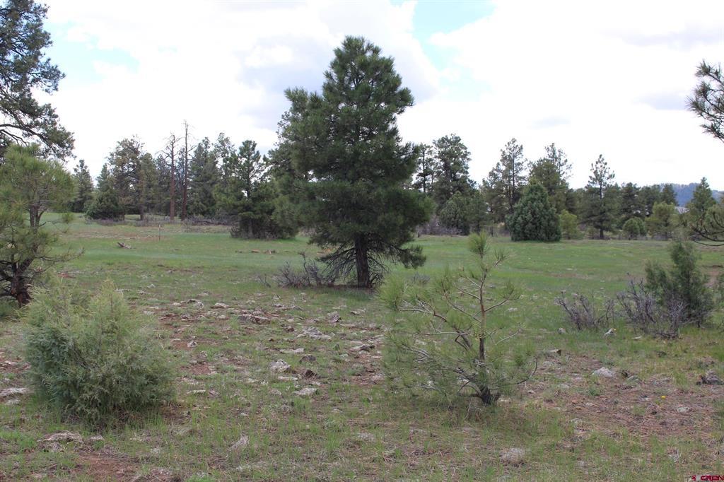 260 Mariposa Pagosa Springs CO 81147