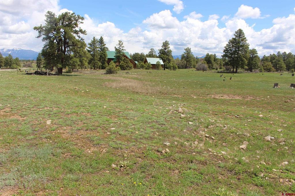 260 Mariposa Pagosa Springs CO 81147