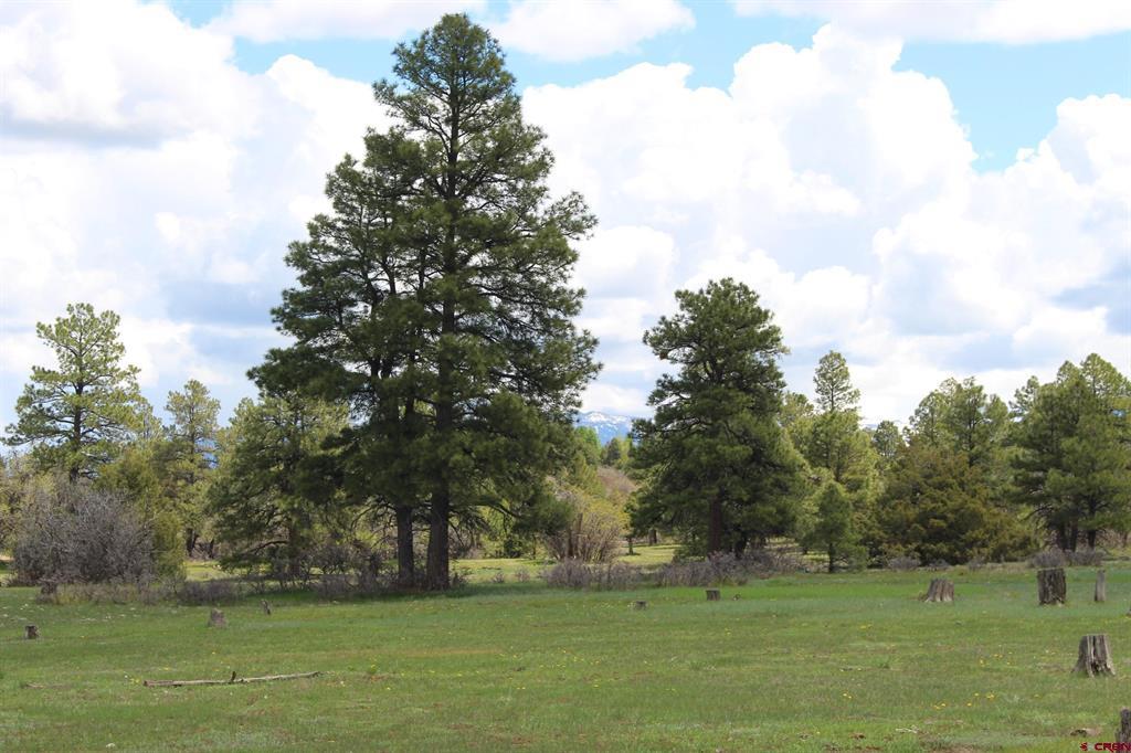 260 Mariposa Pagosa Springs CO 81147