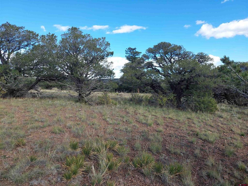 235 Vista De Verde South Fork CO 81154