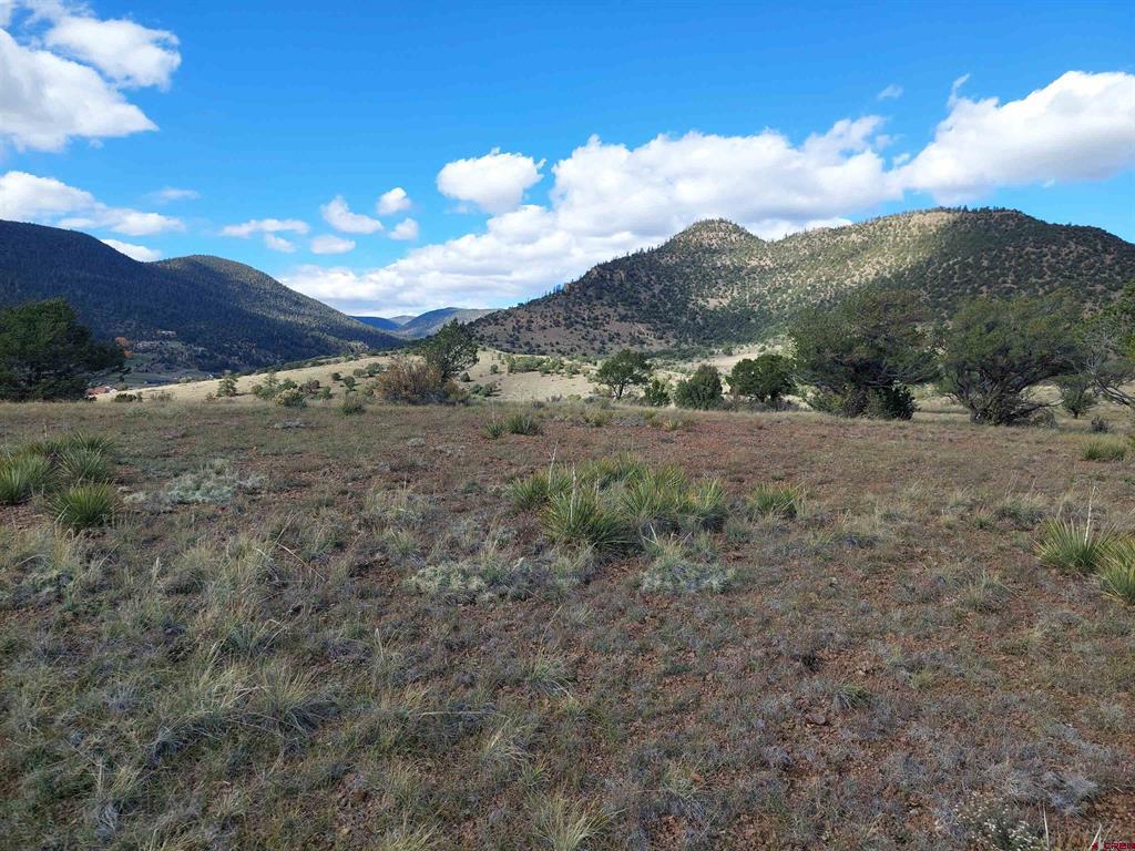 235 Vista De Verde South Fork CO 81154