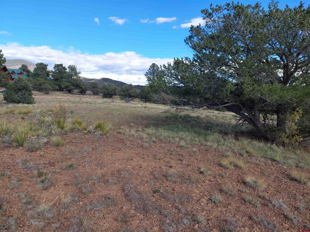235 Vista De Verde South Fork CO 81154