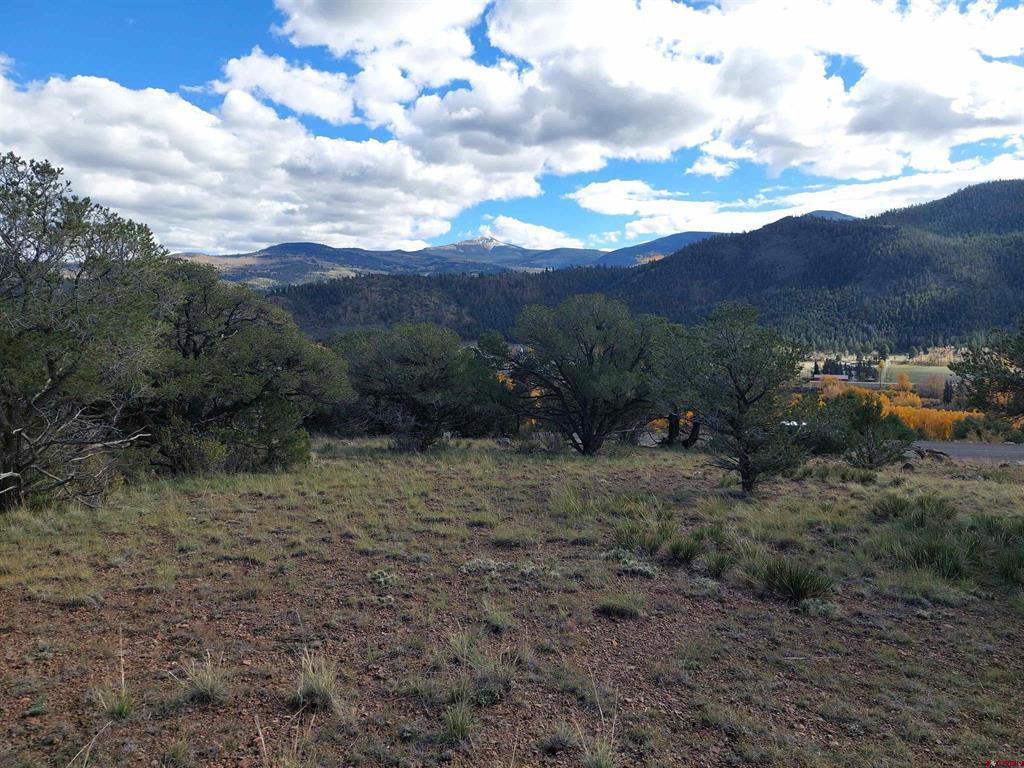 235 Vista De Verde South Fork CO 81154