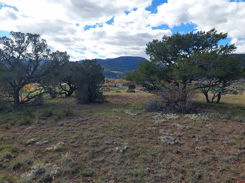 235 Vista De Verde South Fork CO 81154