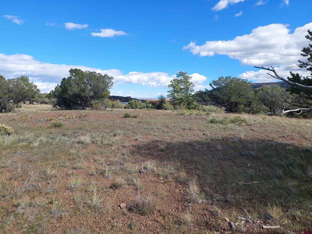235 Vista De Verde South Fork CO 81154