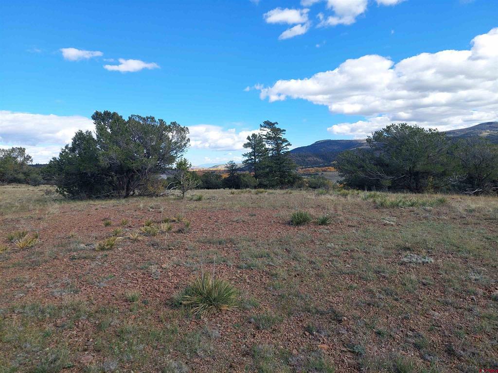 235 Vista De Verde South Fork CO 81154