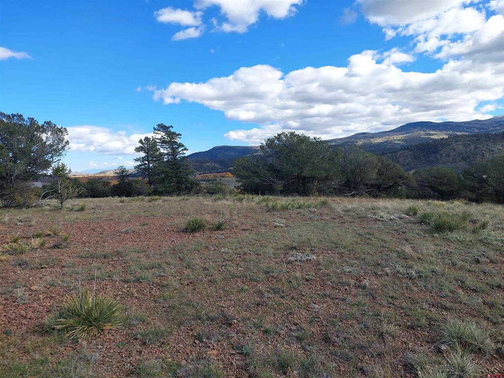 235 Vista De Verde South Fork CO 81154