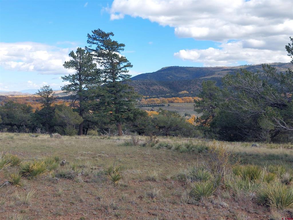 235 Vista De Verde South Fork CO 81154