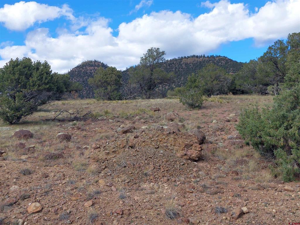 235 Vista De Verde South Fork CO 81154