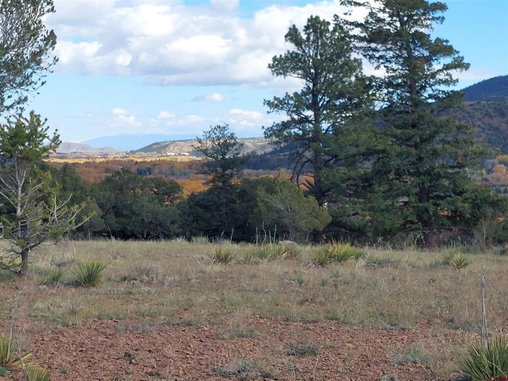 235 Vista De Verde South Fork CO 81154