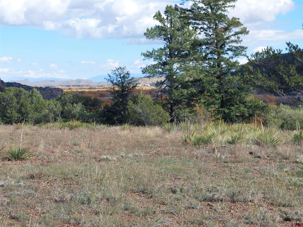 235 Vista De Verde South Fork CO 81154