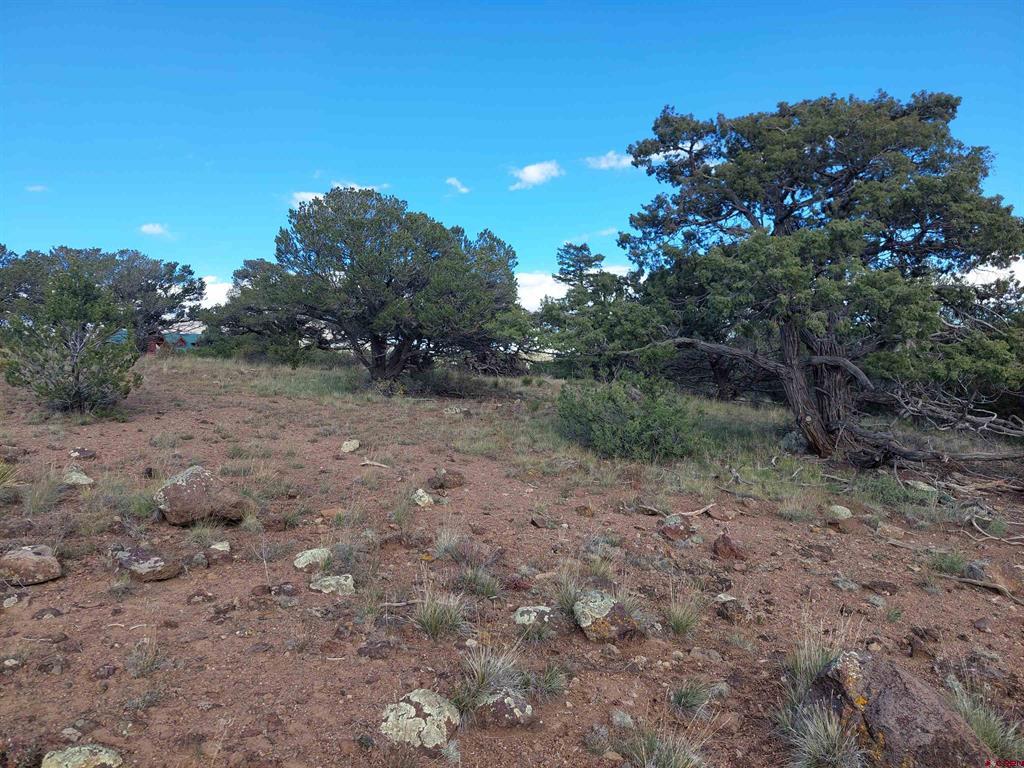 235 Vista De Verde South Fork CO 81154