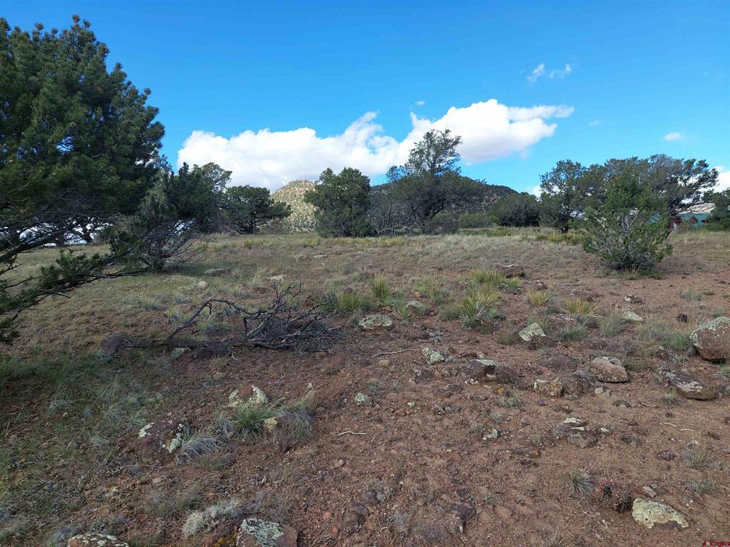 235 Vista De Verde South Fork CO 81154