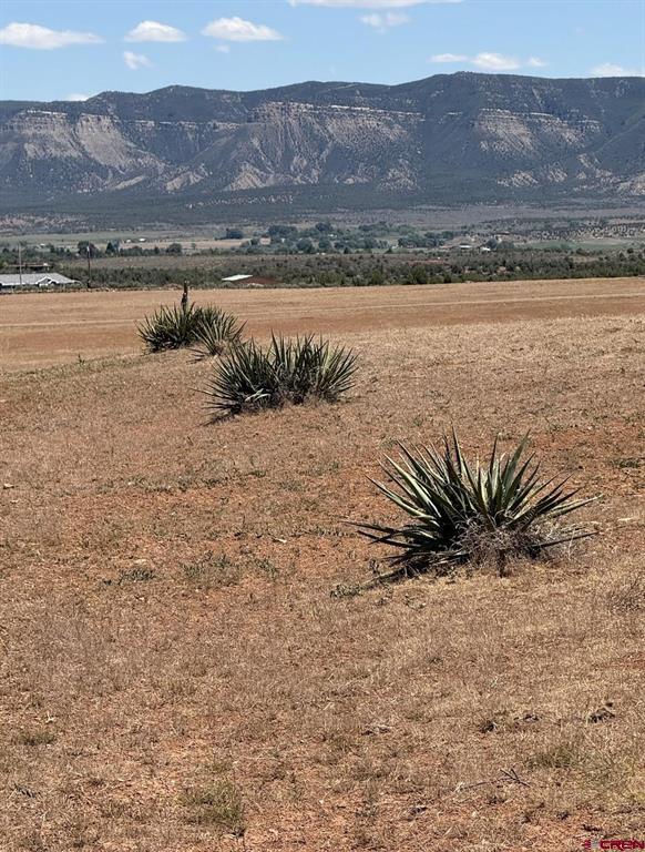 Tbd Road 22.6 Cortez CO 81321