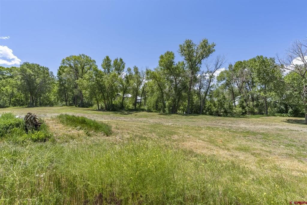 113 E Grand Avenue Mancos CO 81328