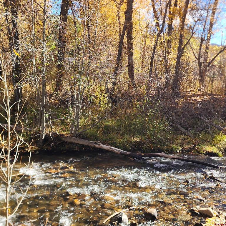 113 E Grand Avenue Mancos CO 81328