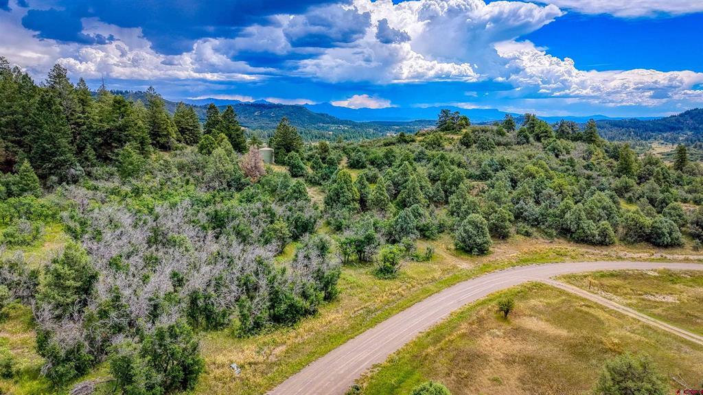 1698 Roush Drive Pagosa Springs CO 81147