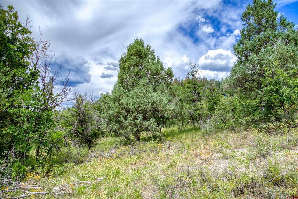 1698 Roush Drive Pagosa Springs CO 81147