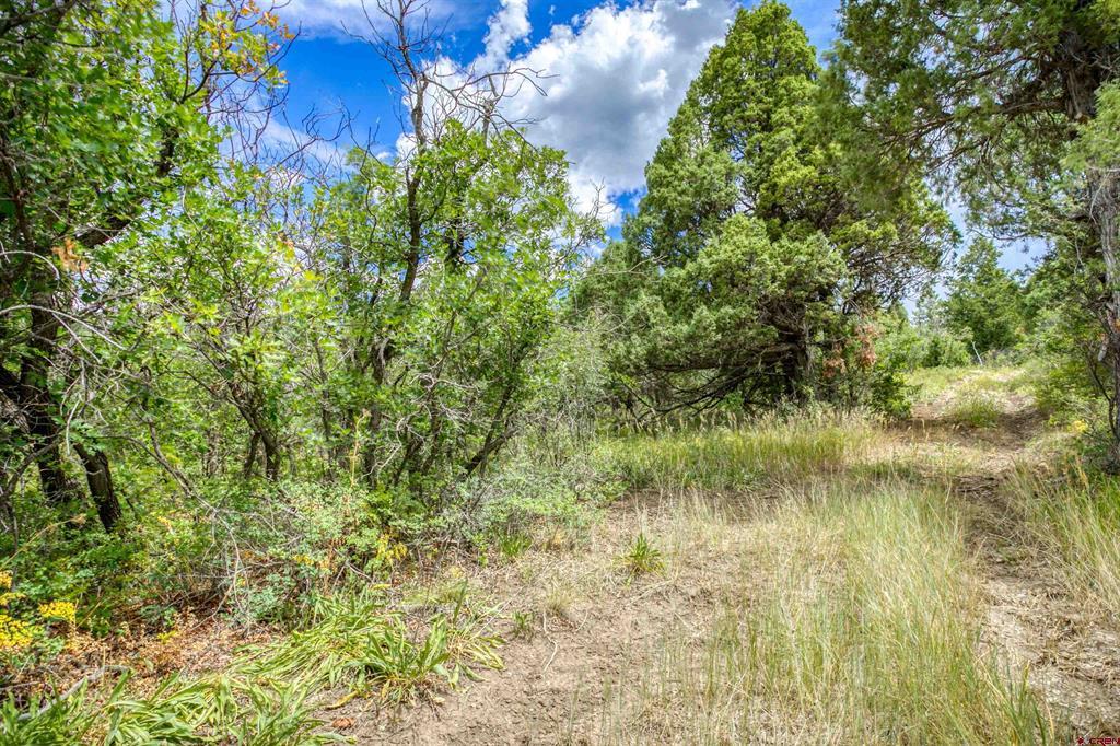 1698 Roush Drive Pagosa Springs CO 81147