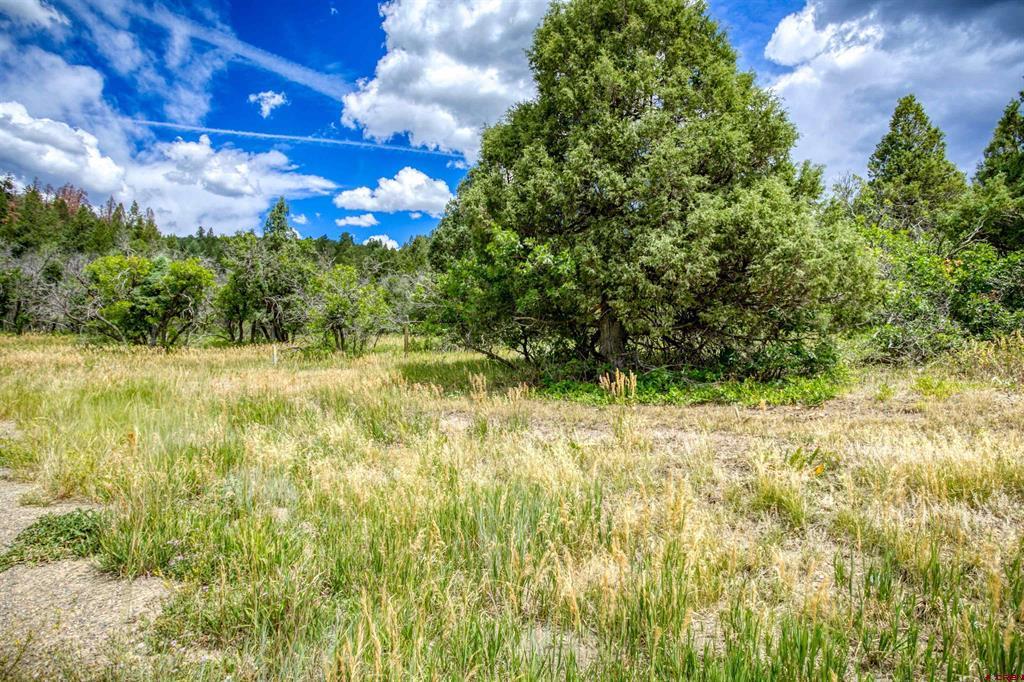 1698 Roush Drive Pagosa Springs CO 81147