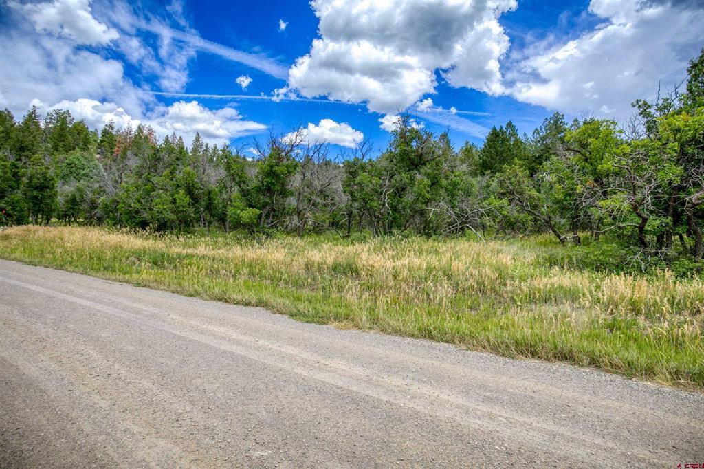 1698 Roush Drive Pagosa Springs CO 81147