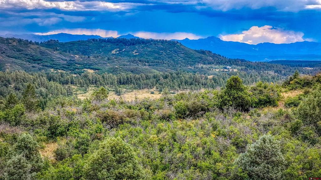 1698 Roush Drive Pagosa Springs CO 81147