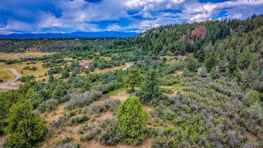 1698 Roush Drive Pagosa Springs CO 81147