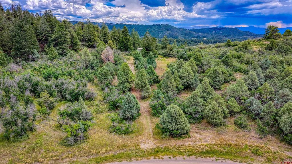 1698 Roush Drive Pagosa Springs CO 81147