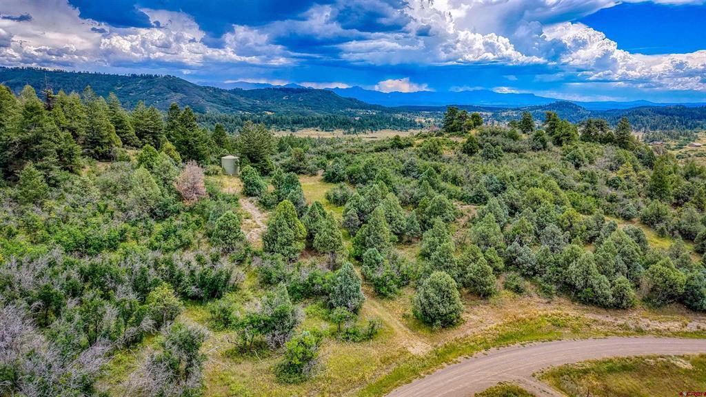 1698 Roush Drive Pagosa Springs CO 81147