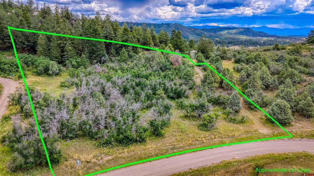 1698 Roush Drive Pagosa Springs CO 81147