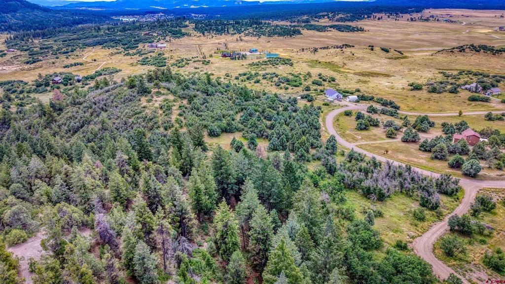 1698 Roush Drive Pagosa Springs CO 81147