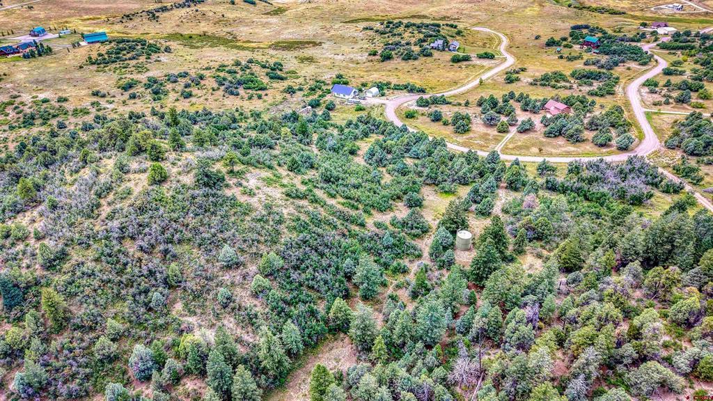 1698 Roush Drive Pagosa Springs CO 81147
