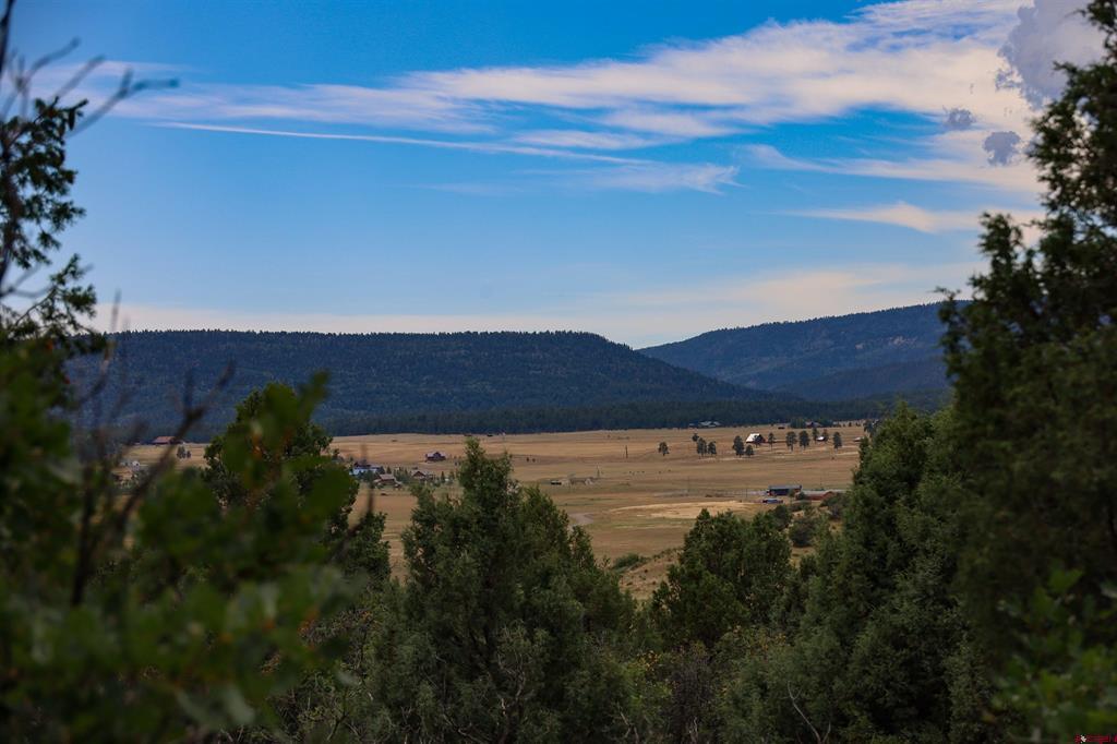 1698 Roush Drive Pagosa Springs CO 81147
