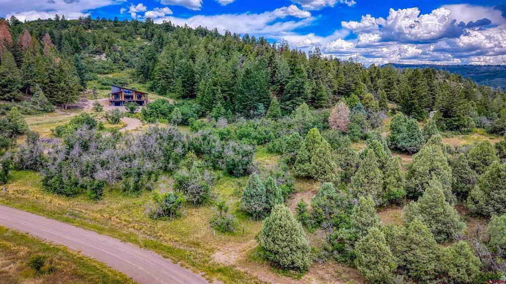 1698 Roush Drive Pagosa Springs CO 81147