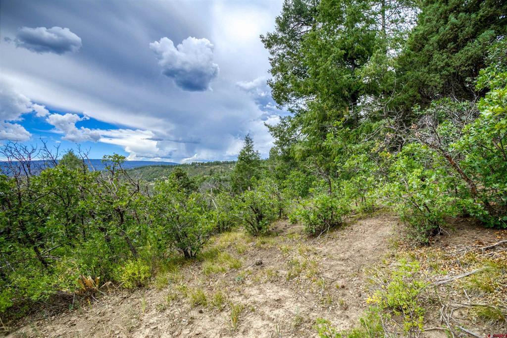1698 Roush Drive Pagosa Springs CO 81147