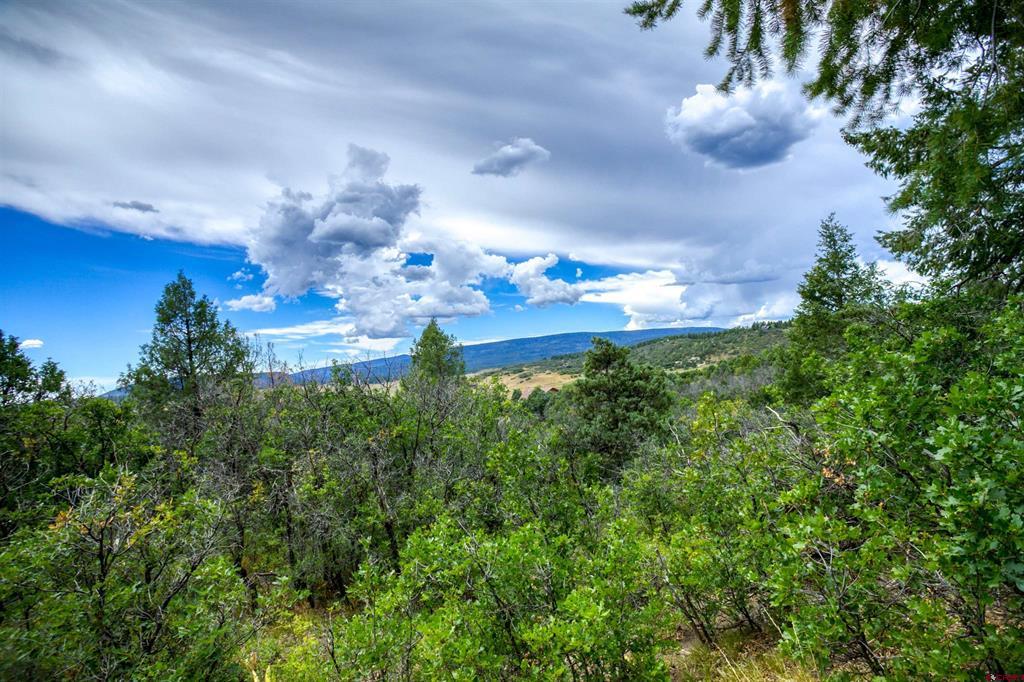 1698 Roush Drive Pagosa Springs CO 81147