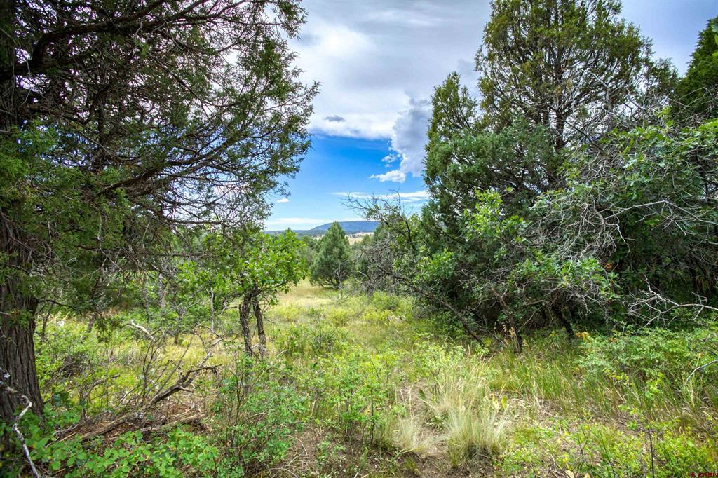 1698 Roush Drive Pagosa Springs CO 81147