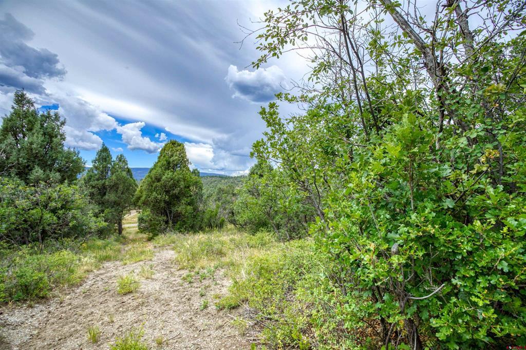1698 Roush Drive Pagosa Springs CO 81147