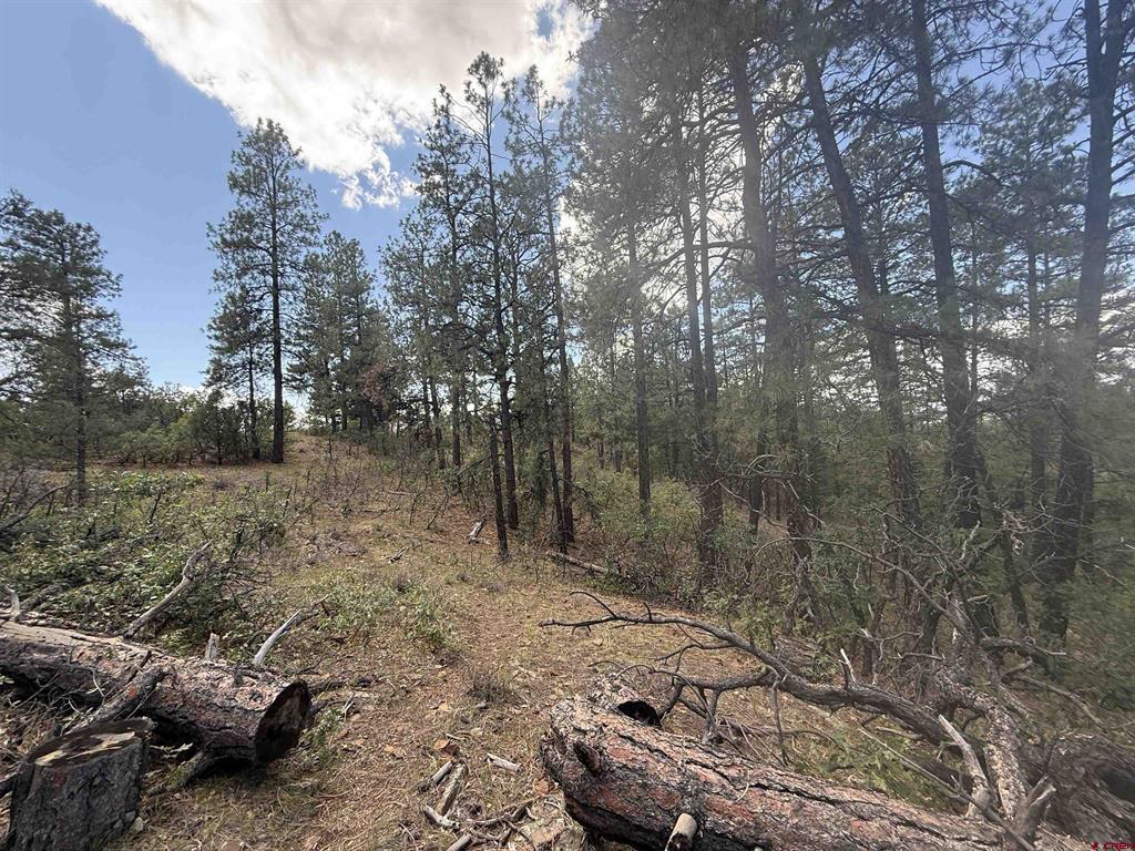 93 & 127 Careys Court Pagosa Springs CO 81147
