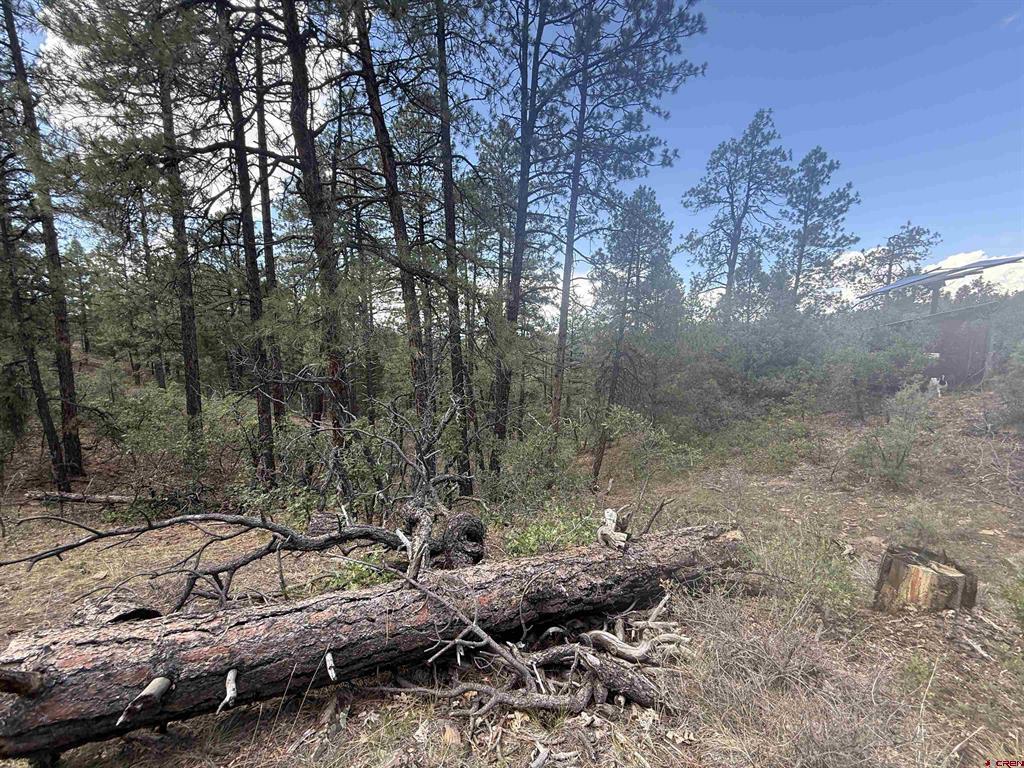 93 & 127 Careys Court Pagosa Springs CO 81147