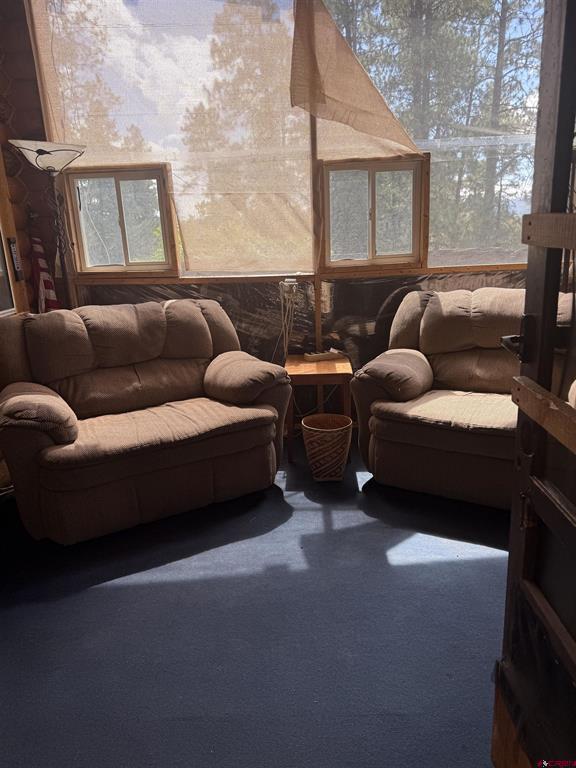 93 & 127 Careys Court Pagosa Springs CO 81147