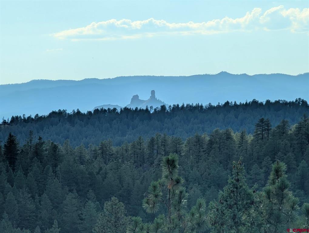 93 & 127 Careys Court Pagosa Springs CO 81147