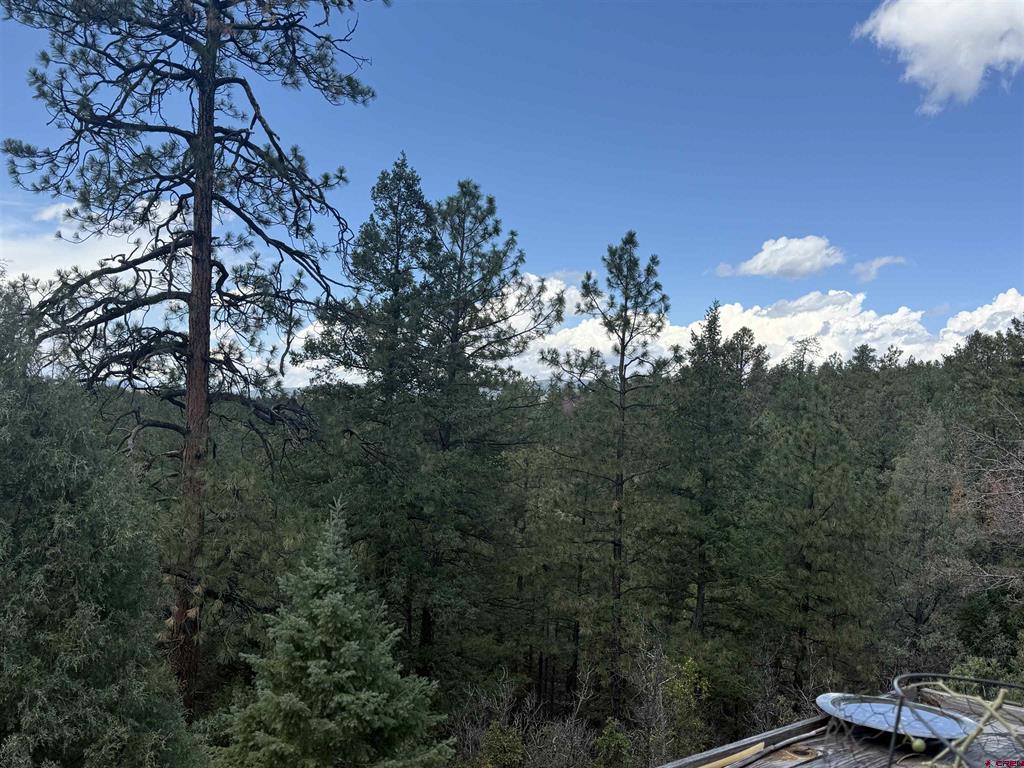 93 & 127 Careys Court Pagosa Springs CO 81147