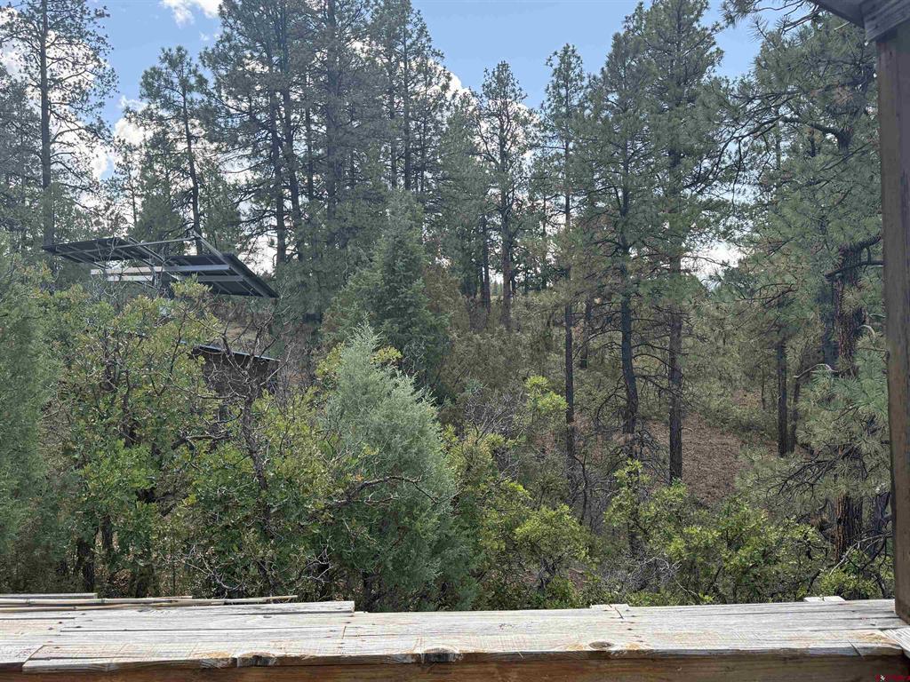 93 & 127 Careys Court Pagosa Springs CO 81147