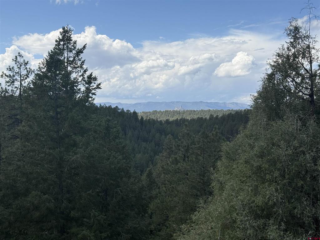 93 & 127 Careys Court Pagosa Springs CO 81147
