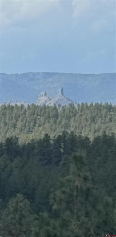 93 & 127 Careys Court Pagosa Springs CO 81147