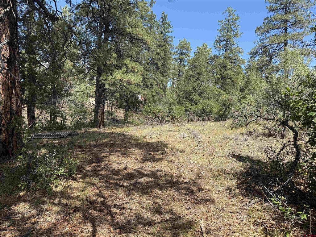 93 & 127 Careys Court Pagosa Springs CO 81147