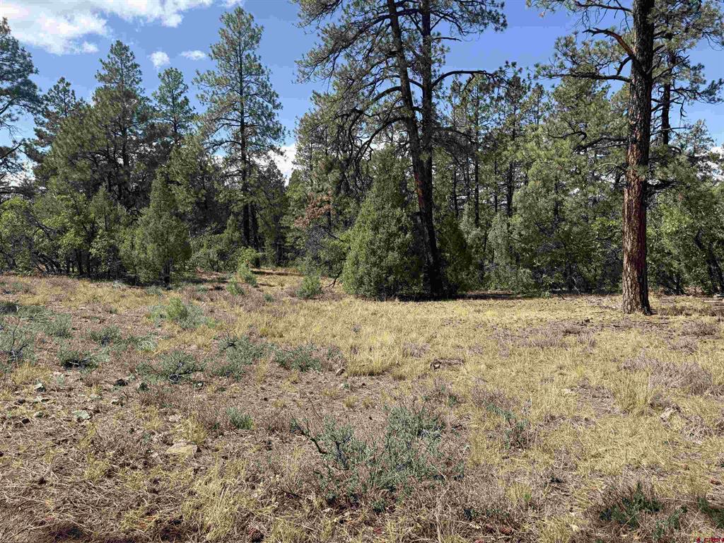93 & 127 Careys Court Pagosa Springs CO 81147