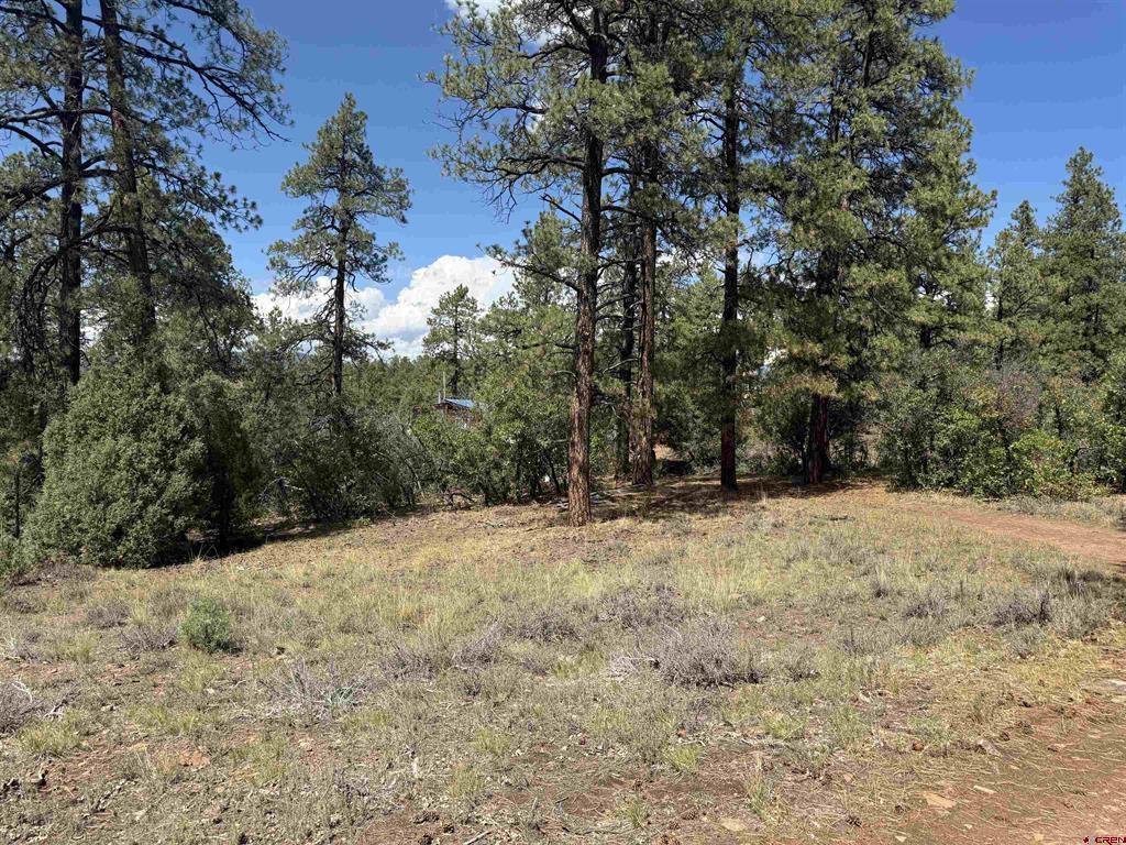 93 & 127 Careys Court Pagosa Springs CO 81147