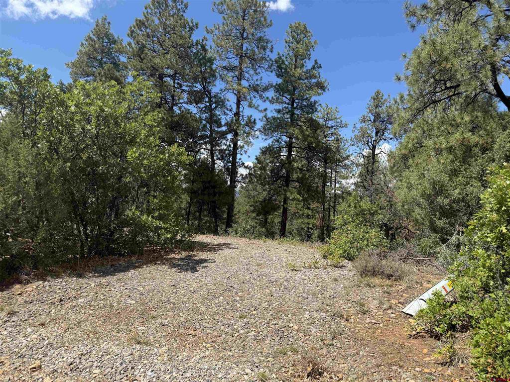 93 & 127 Careys Court Pagosa Springs CO 81147
